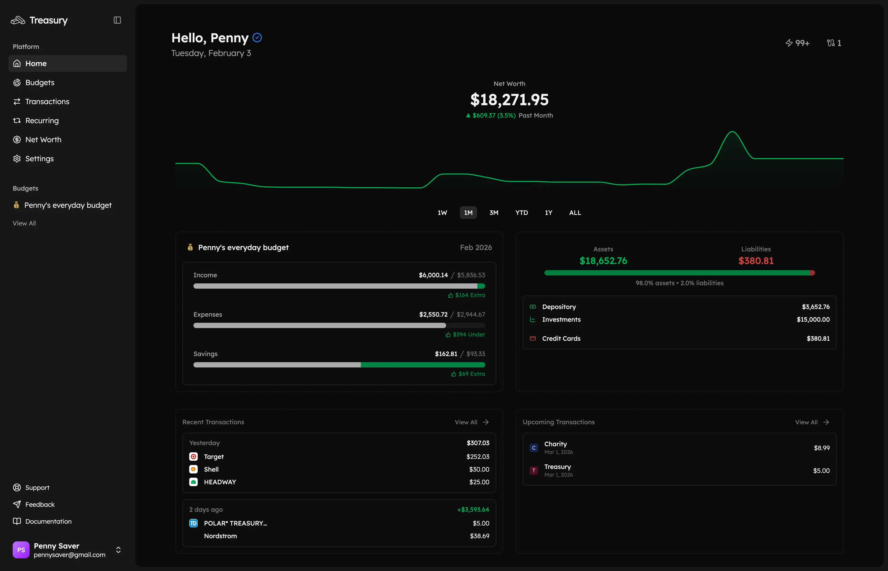 Treasury dashboard showing budget overview, transaction categorization, and spending insights