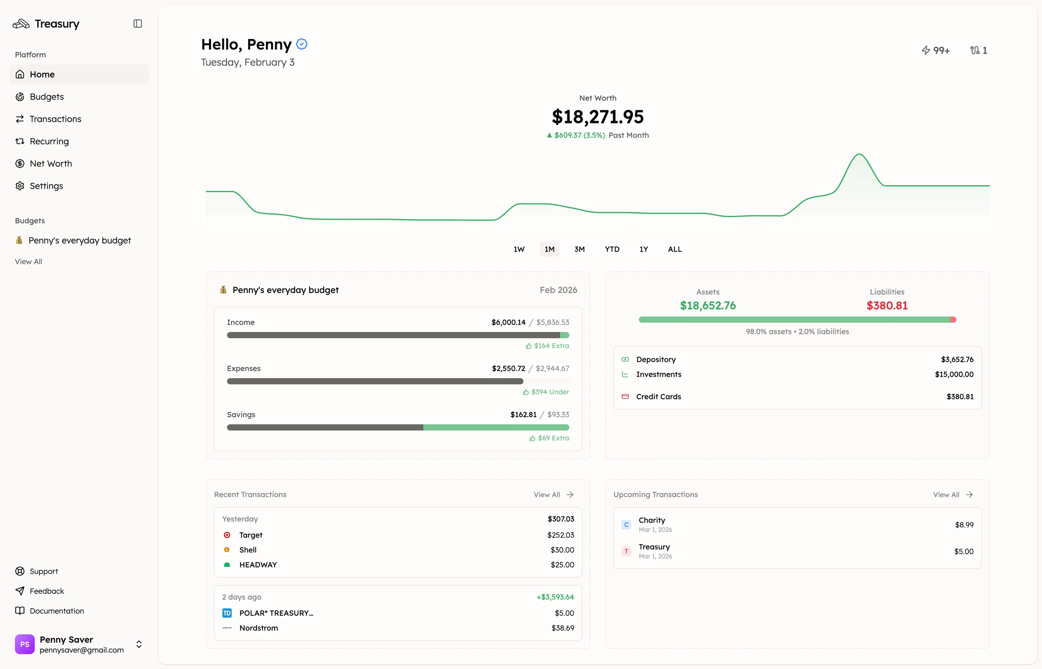 Treasury dashboard showing budget overview, transaction categorization, and spending insights