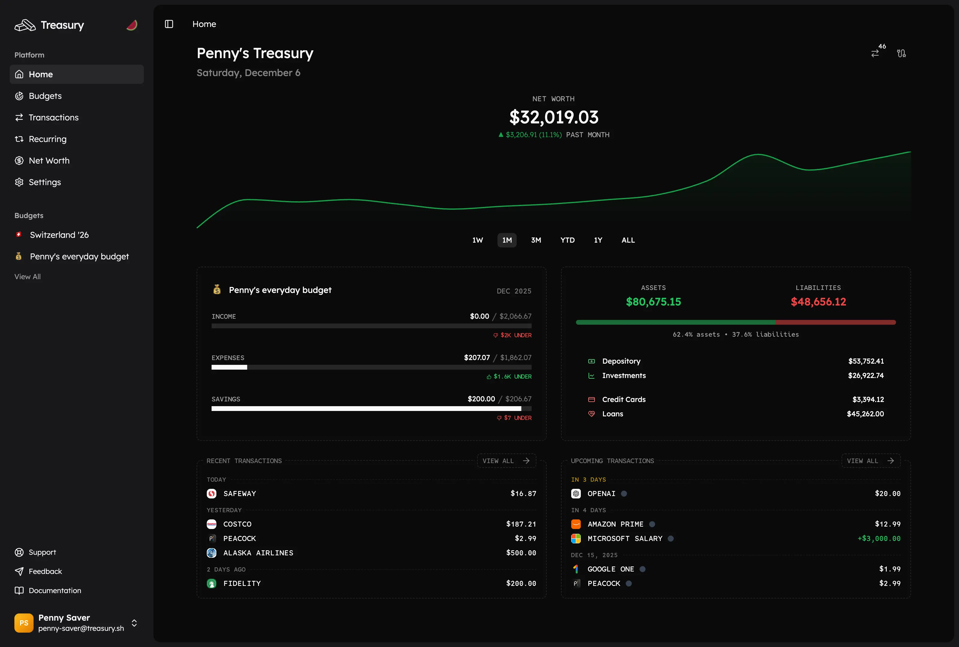Treasury dashboard showing budget overview, transaction categorization, and spending insights